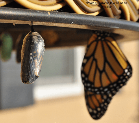 You-Must-Be-Born-Again You-Must-Be-Born-Again